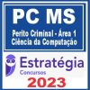 PC MS (Perito Criminal - Área 1 - Ciência da Computação) Estratégia 2023