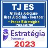 TJ ES (Analista Judiciário - Área Judiciária - Contador + Passo) Pós Edital - Estratégia 2023