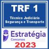 TRF DF - 1ª REGIÃO (Técnico Judiciário - Segurança e Transporte) Estratégia 2023