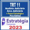 TRT 11 AM/RR (Analista Judiciário + Passo) Pós Edital - Estratégia 2023