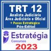 TRT SC - 12ª Região (Analista Judiciário - Área Judic. e Oficial + Passo) Pós Edital