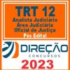 TRT SC - 12ª REGIÃO (ANALISTA JUDICIÁRIO - ÁREA JUDICIÁRIA - OFICIAL) PÓS EDITAL - DIREÇÃO 2023