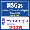 msgas-ana-meio-amb